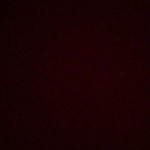 Meet your Posher, Lily